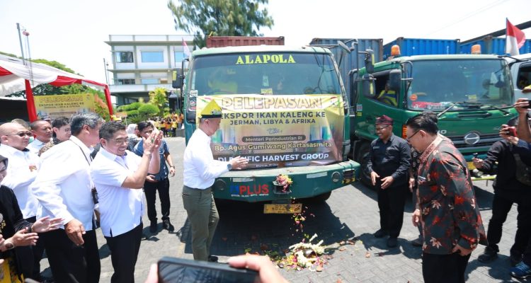 Berdasarkan data Dinas Koperasi, Usaha Mikro, dan Perdagangan (Diskopumdag) Kabupaten Banyuwangi, produk dari daerah ini telah menembus pasar di 80 negara yang tersebar di Asia, Afrika, Eropa, Amerika, dan Australia. Komoditas yang diekspor juga sangat beragam, terdiri dari 27 jenis, di antaranya ikan hias, batu apung, koral, ikan kaleng, produk kayu jati, kopi, hingga pupuk cair.