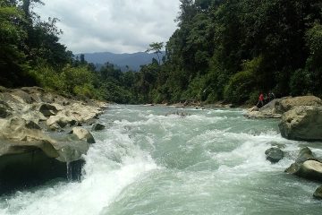 Aceh Tamiang