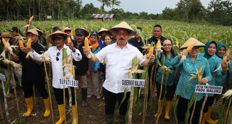 “Ketahanan pangan menjadi salah satu fokus utama Pemerintah Indonesia. Karena itu, kami sangat mengapresiasi Kelompok Tani Hatusua Maju yang mampu memanfaatkan lahan secara produktif,” ujar Gubernur.
