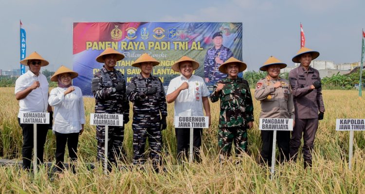 Pemerintah Kota (Pemkot) Surabaya bersama Pangkalan Utama TNI Angkatan Laut (Lantamal) V melaksanakan kegiatan tanam dan panen raya padi secara serentak di lahan persawahan Komplek AL Kenjeran, Kelurahan Sukolilo Baru, Kecamatan Bulak, Rabu (23/4/2025). Kegiatan ini juga dilakukan serentak di 14 provinsi di seluruh Indonesia.
