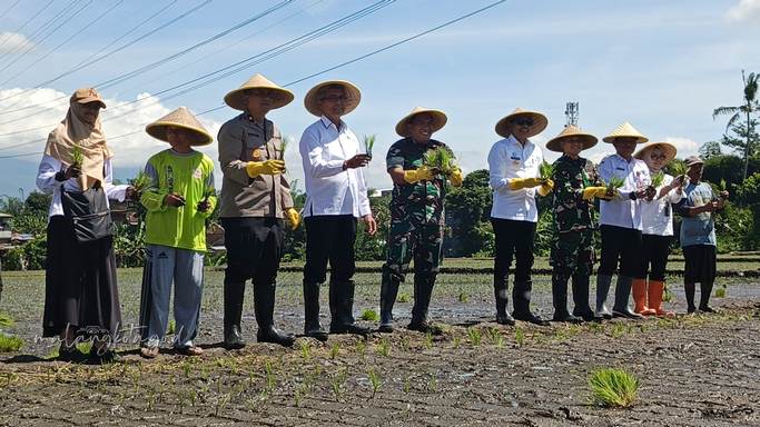 Wahyu mengungkapkan, rata-rata hasil panen di Kota Malang mencapai delapan ton per hektare. Harga gabah di tingkat petani juga cukup kompetitif, yakni sekitar Rp6.700 per kilogram, lebih tinggi dari rata-rata nasional yang berada di angka Rp6.500. “Harga ini memotivasi petani untuk terus meningkatkan hasil panennya, yang tentunya berdampak positif pada ketahanan pangan kota,” ujarnya.
