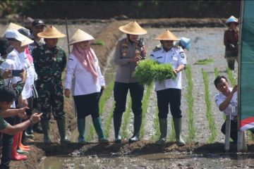“Negara yang kuat adalah negara yang sektor pertaniannya kuat. Petani harus sejahtera karena mereka adalah produsen pangan bagi seluruh rakyat Indonesia. Jika pangan aman, maka negara juga aman,” tegas Presiden.