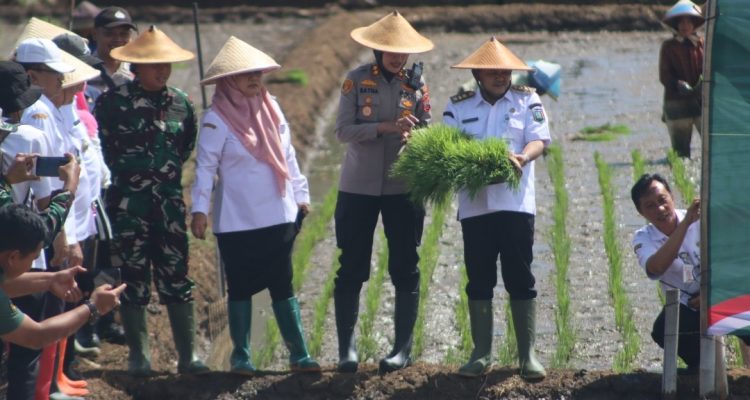 “Negara yang kuat adalah negara yang sektor pertaniannya kuat. Petani harus sejahtera karena mereka adalah produsen pangan bagi seluruh rakyat Indonesia. Jika pangan aman, maka negara juga aman,” tegas Presiden.