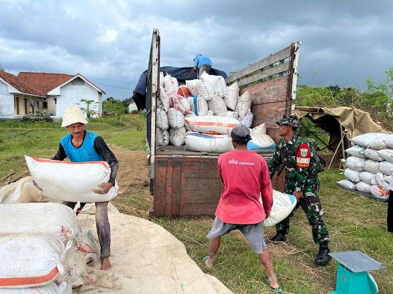 Bulog Jawa Barat Realisasikan Penyerapan Gabah Terbesar Nasional