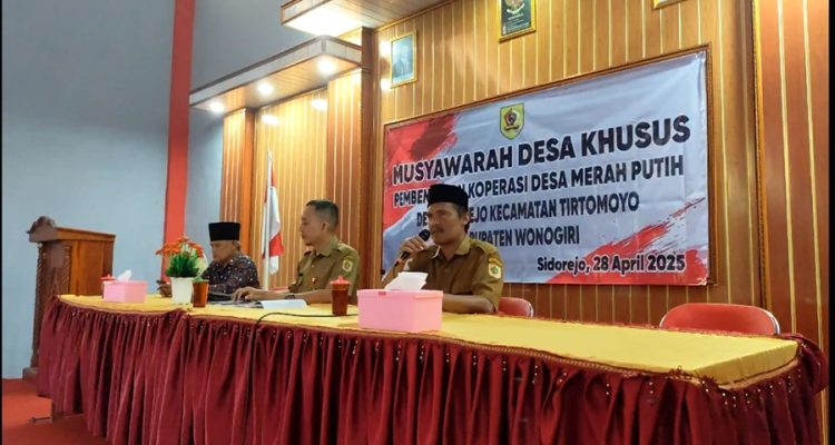 KDMP Desa Sidorejo akan mengembangkan usaha di empat sektor utama, yaitu Apotek dan Toko Obat, Peternakan (penggaduhan hewan ternak), Pertanian (agen pupuk subsidi, sarana produksi pertanian, dan pengolahan hasil panen), serta Perdagangan (toko sembako dan pangkalan LPG).