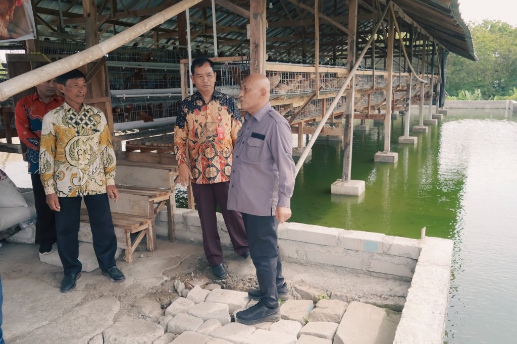 Lomba Inovasi Ketahanan Pangan, Desa Kaliwedi Lanjut Tingkat Nasional