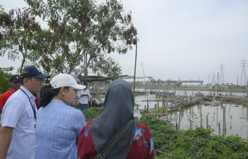 Kawasan Mangrove di Tambakrejo Disiapkan Menjadi Ekowisata