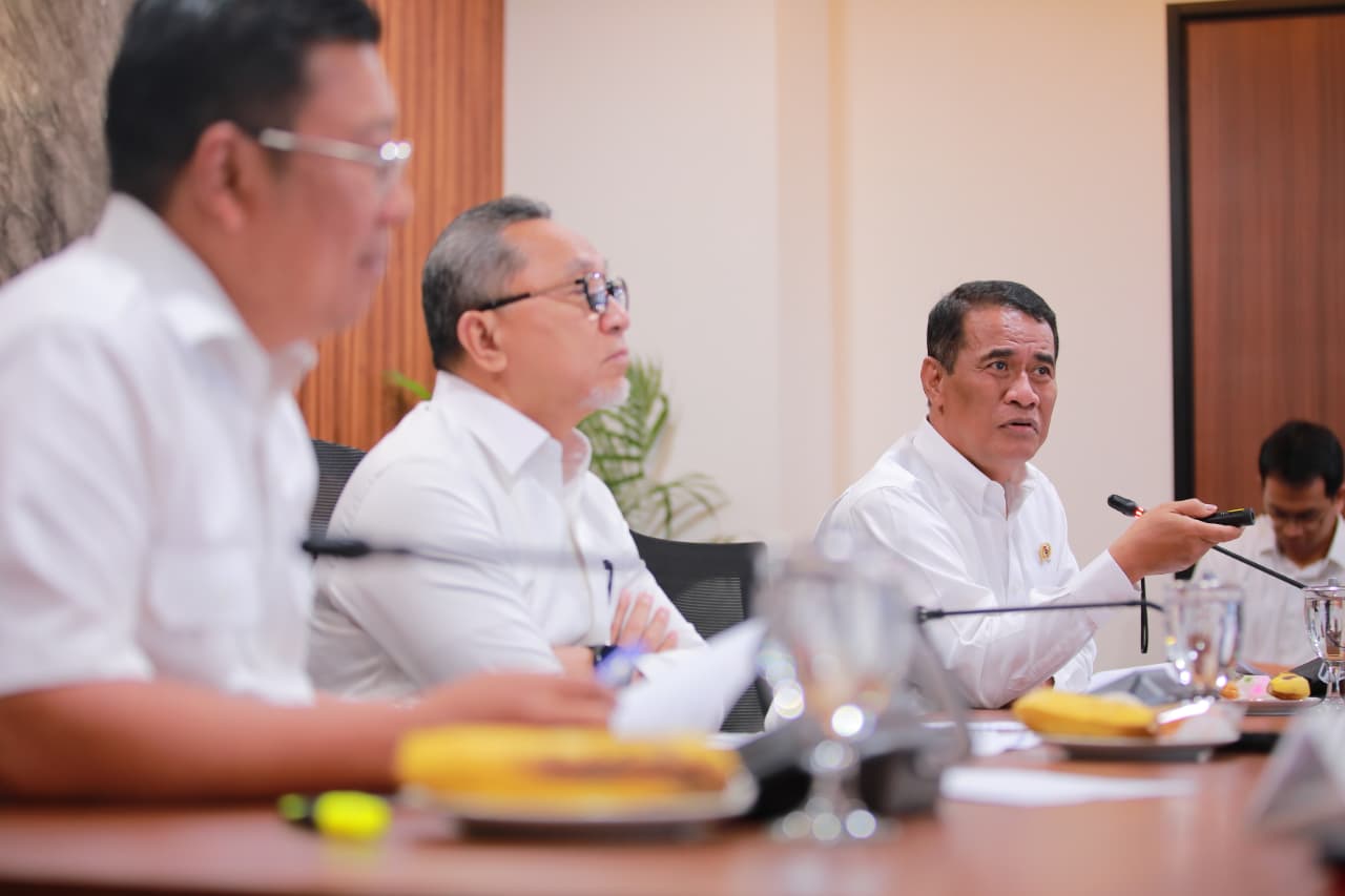 Perubahan Peta Pasar Beras: Momentum Emas bagi Pedagang dan Penggilingan Skala Kecil