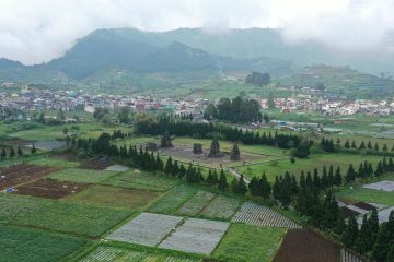 Kepala Dinas Pariwisata Jawa Tengah, Masrofi, menambahkan bahwa Dieng Culture Festival pernah masuk dalam 10 event budaya terbaik nasional. Karena itu, kegiatan ini akan terus dipertahankan dan ditingkatkan.