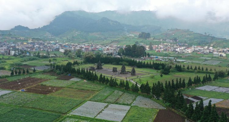 Kepala Dinas Pariwisata Jawa Tengah, Masrofi, menambahkan bahwa Dieng Culture Festival pernah masuk dalam 10 event budaya terbaik nasional. Karena itu, kegiatan ini akan terus dipertahankan dan ditingkatkan.