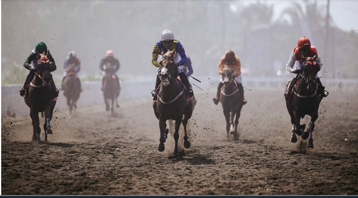 Indonesia’s Horse Racing-Merdeka Cup 2025, Laga Sekaligus Spot Tourism