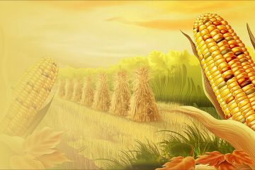 Jagung