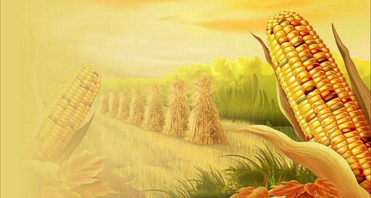 Jagung