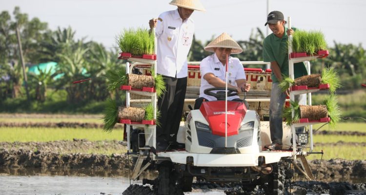Pada kesempatan tersebut, Wakil Gubernur Taj Yasin mengatakan, upaya bersama dalam pemulihan lahan pertanian akan membuahkan hasil. Pada 3 Juli 2025 lalu, dia menyaksikan sendiri pengerjaan normalisasi aliran Sungai Pelayaran kurang lebih sepanjang 300 meter, di mana sungai itu menjadi penghubung antara aliran irigasi yang melintasi areal persawahan.