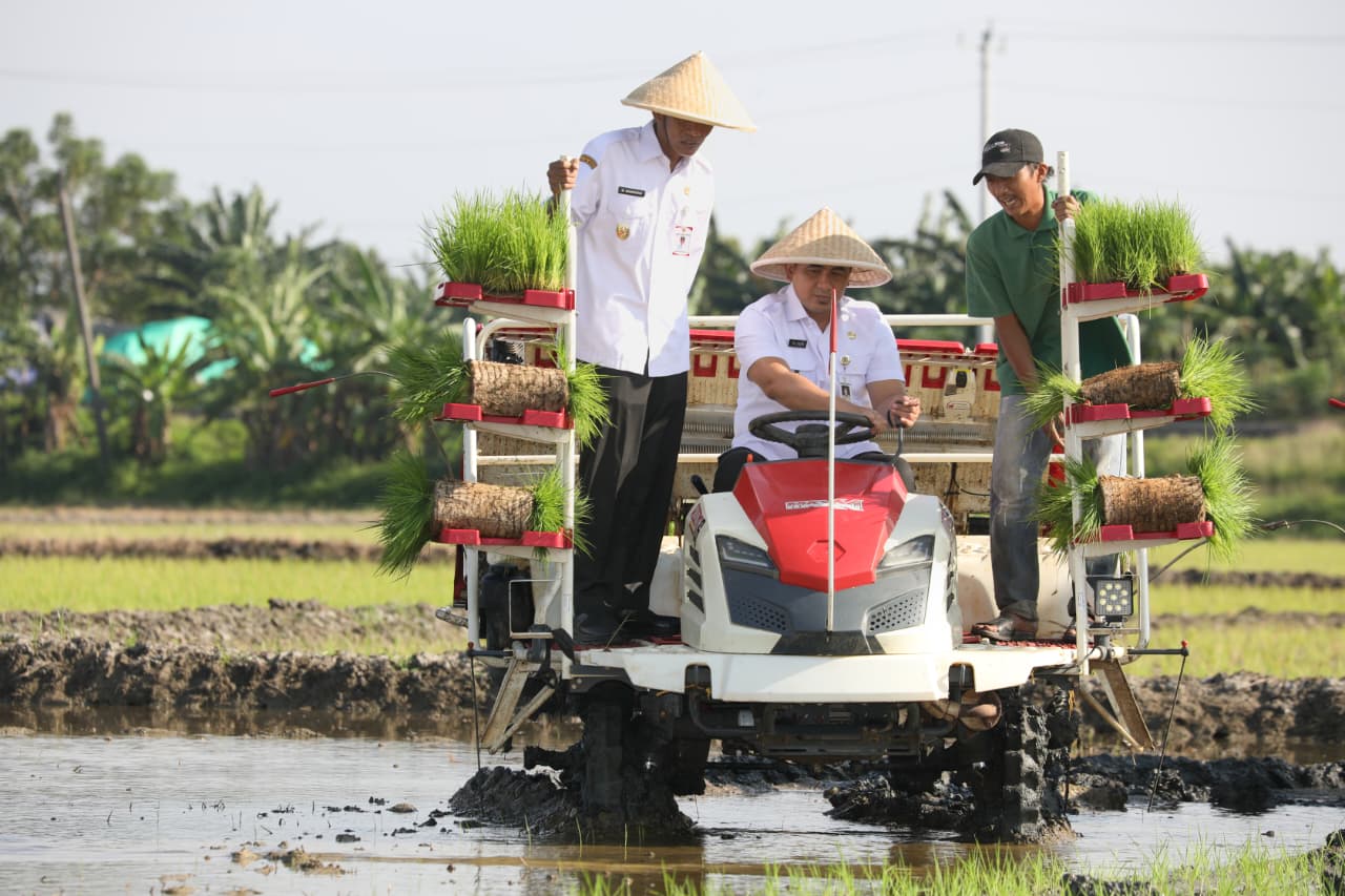 Seluas 512 Hektare Lahan Sawah di Demak Pulih, Siap Genjot Produksi Padi dan Tarik Investasi