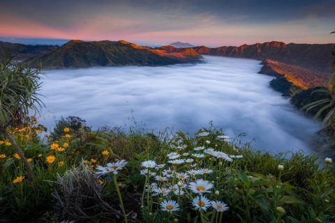 Wisata