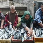 Ikan Tobelo OJK