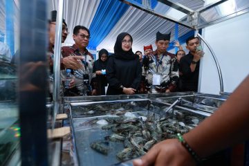 Ratusan pelaku industri udang dari berbagai daerah di Indonesia berkumpul di Banyuwangi dalam acara Forum Shrimp Fair. Selama tiga hari, mereka membahas perkembangan dan tantangan ekspor udang ke berbagai negara, terutama ke Amerika Serikat (AS).