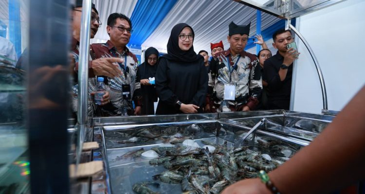 Ratusan pelaku industri udang dari berbagai daerah di Indonesia berkumpul di Banyuwangi dalam acara Forum Shrimp Fair. Selama tiga hari, mereka membahas perkembangan dan tantangan ekspor udang ke berbagai negara, terutama ke Amerika Serikat (AS).