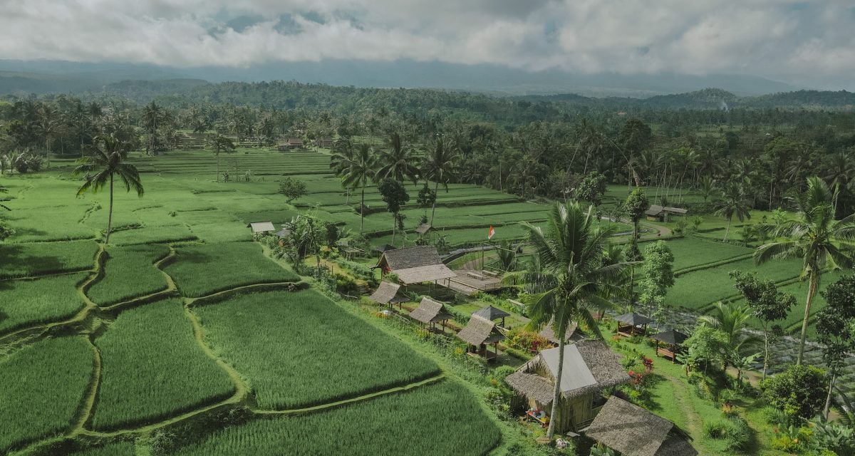 Terletak di ujung timur Pulau Jawa, Banyuwangi menyimpan sejuta pesona alam yang menakjubkan. Di antara deretan keindahan itu, Gunung Ijen menjadi magnet utama bagi para pencinta alam dan petualangan. Namun, pesona kawasan ini tak berhenti di puncaknya saja. Jawa TimurDi kaki Gunung Ijen, udara sejuk pegunungan berpadu dengan panorama hijau yang menenangkan, menciptakan suasana sempurna untuk wisata yang menyehatkan dan menyegarkan jiwa.