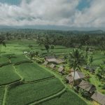 Terletak di ujung timur Pulau Jawa, Banyuwangi menyimpan sejuta pesona alam yang menakjubkan. Di antara deretan keindahan itu, Gunung Ijen menjadi magnet utama bagi para pencinta alam dan petualangan. Namun, pesona kawasan ini tak berhenti di puncaknya saja. Di kaki Gunung Ijen, udara sejuk pegunungan berpadu dengan panorama hijau yang menenangkan, menciptakan suasana sempurna untuk wisata yang menyehatkan dan menyegarkan jiwa.