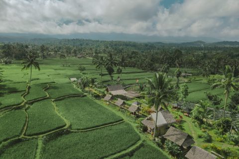 Terletak di ujung timur Pulau Jawa, Banyuwangi menyimpan sejuta pesona alam yang menakjubkan. Di antara deretan keindahan itu, Gunung Ijen menjadi magnet utama bagi para pencinta alam dan petualangan. Namun, pesona kawasan ini tak berhenti di puncaknya saja. Di kaki Gunung Ijen, udara sejuk pegunungan berpadu dengan panorama hijau yang menenangkan, menciptakan suasana sempurna untuk wisata yang menyehatkan dan menyegarkan jiwa.