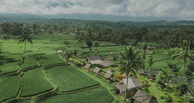 Terletak di ujung timur Pulau Jawa, Banyuwangi menyimpan sejuta pesona alam yang menakjubkan. Di antara deretan keindahan itu, Gunung Ijen menjadi magnet utama bagi para pencinta alam dan petualangan. Namun, pesona kawasan ini tak berhenti di puncaknya saja. Di kaki Gunung Ijen, udara sejuk pegunungan berpadu dengan panorama hijau yang menenangkan, menciptakan suasana sempurna untuk wisata yang menyehatkan dan menyegarkan jiwa.