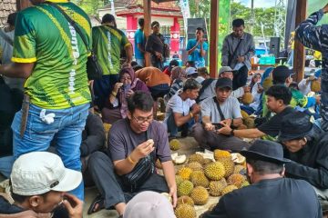 Bupati Banyuwangi, Ipuk Fiestiandani, mengapresiasi inisiatif warga yang dinilai mampu mengemas potensi desa secara kreatif. Menurutnya, festival ini menjadi contoh konkret bagaimana desa dapat mandiri dalam mempromosikan kekayaan lokalnya.