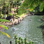 Secara rinci, sektor jasa menjadi penyumbang pertumbuhan tertinggi, khususnya pariwisata yang mencatatkan kenaikan hingga 8,64 persen dibandingkan tahun sebelumnya. Peningkatan ini sejalan dengan naiknya jumlah kunjungan wisatawan, baik domestik maupun mancanegara, sebesar 8,26 persen.