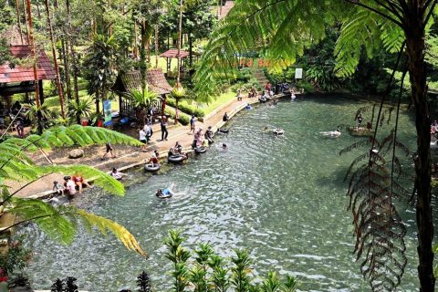 Secara rinci, sektor jasa menjadi penyumbang pertumbuhan tertinggi, khususnya pariwisata yang mencatatkan kenaikan hingga 8,64 persen dibandingkan tahun sebelumnya. Peningkatan ini sejalan dengan naiknya jumlah kunjungan wisatawan, baik domestik maupun mancanegara, sebesar 8,26 persen.