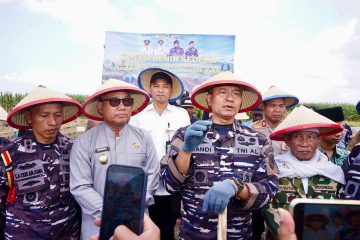 TNI AL bersama Pemerintah Kabupaten Banyuwangi terus menggenjot produksi kedelai untuk mendukung upaya pemerintah pusat dalam memperkuat persediaan kedelai nasional.
