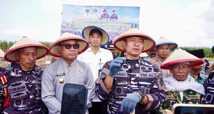 TNI AL bersama Pemerintah Kabupaten Banyuwangi terus menggenjot produksi kedelai untuk mendukung upaya pemerintah pusat dalam memperkuat persediaan kedelai nasional.