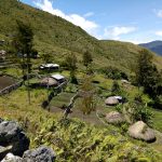 Papua Pegunungan