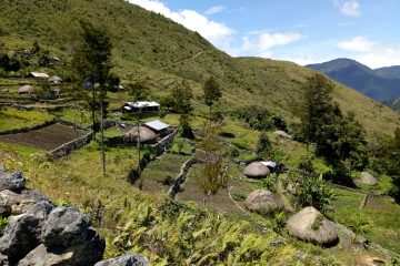 Papua Pegunungan