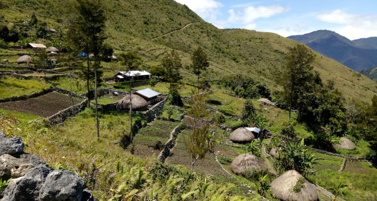 Papua Pegunungan