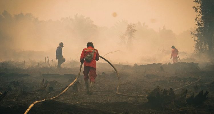 Karhutla Kalimantan